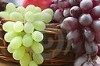 selling white grape juice concentrate ,red grape juice concentrate