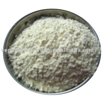 2011 new crop of horseradish powder