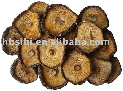 Fragrant Mushroom