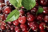 Supply sour cherry juice concentrate, apple juice concentrate
