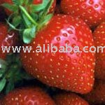 Strawberry Pulp, Strawberry  , fruit pulp
