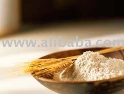Wheat Flour