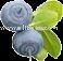 Blueberry Juice ConcentrateBJC Vaccinium Myrtillus