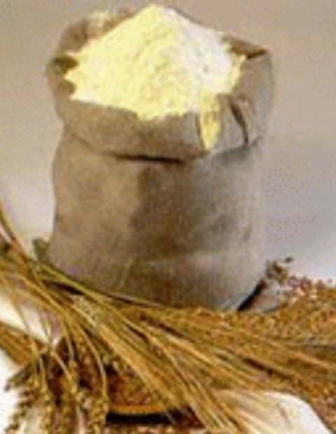 WHEAT FLOUR