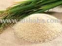 selling white indian basmati rice