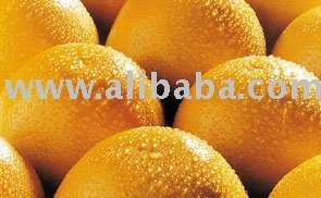  Frozen   Orange   Juice  Nfc