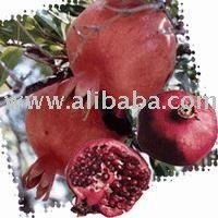 PomegaranateJuice Concentrate