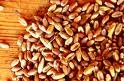 Red  Hard   Winter   Wheat  Flour