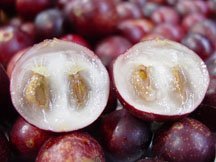 Camu Camu Juice