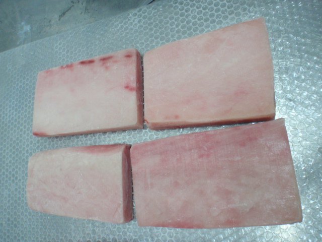  Frozen   swordfish  saku (CO treated)-Xiphias Gladius