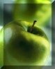 apple juice concentrate ,apple puree,apple juice