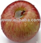 Apple juice concentrate 100% fresh