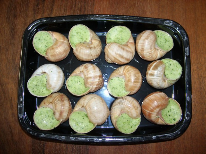  snail s  escargot s de bourgogne