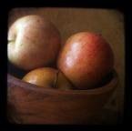 sell apple juice concentrate ,apple puree