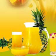 Pineapple Pulp