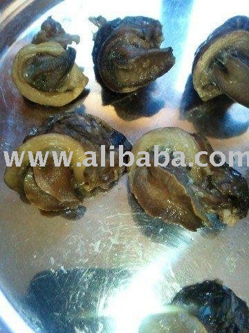 Helix Lucorum Helix Aspersa - Meat - Chairs