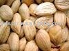 sweet almond