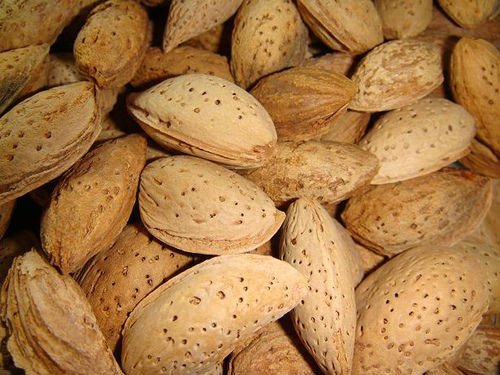 Almond