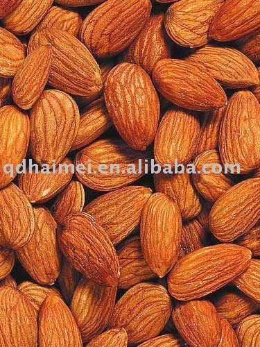 2011Chinese raw Fresh bitter Almond