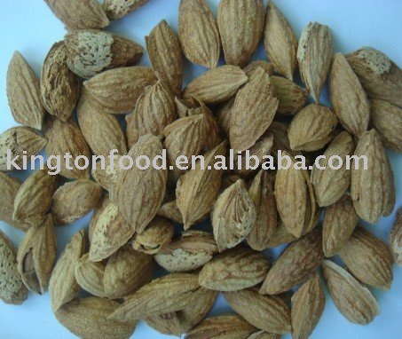 Salted Almond