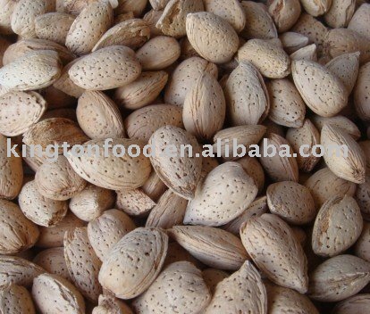 Almond in Shell