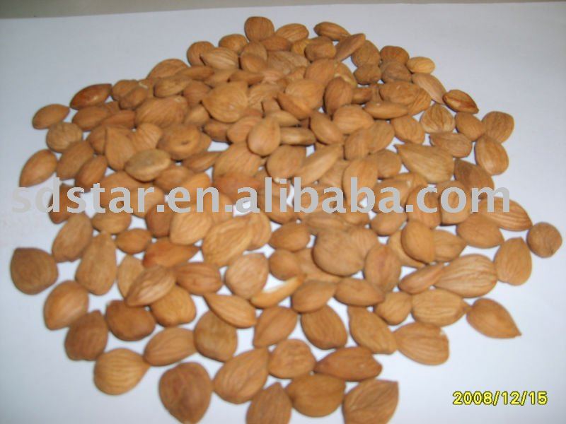 sell chinese Nuts-Sweet Almond