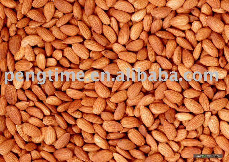 Organic  apricot   seed 