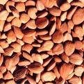 QUALITY SWEET AND BITTER ALMOND