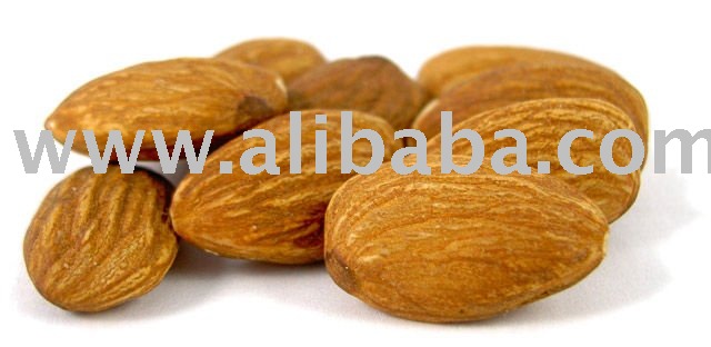 Raw Almond nuts for Export