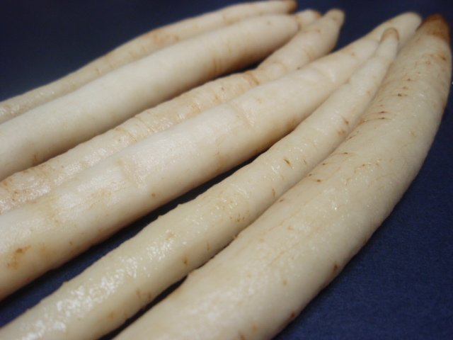 Mountain burdock pickles japanese food