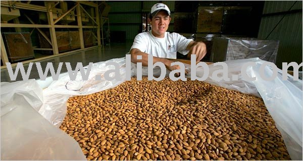 Almond