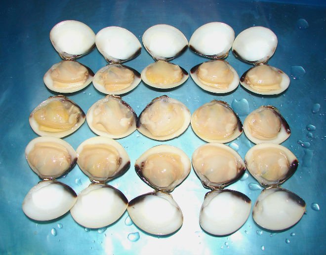 whole clam