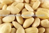 blanched almond