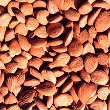 Almond seeds available for huge supplies