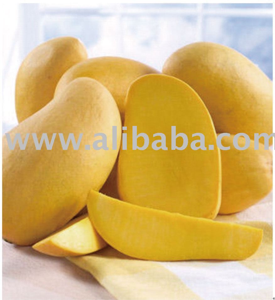  Aseptic  Integral Palmer Mango  Pulp 