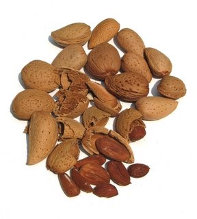 almond nuts