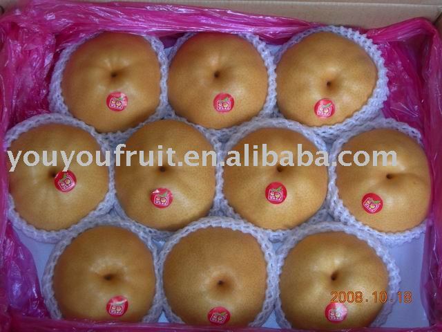 fresh shandong pear