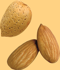 Almond And Hazelnuts