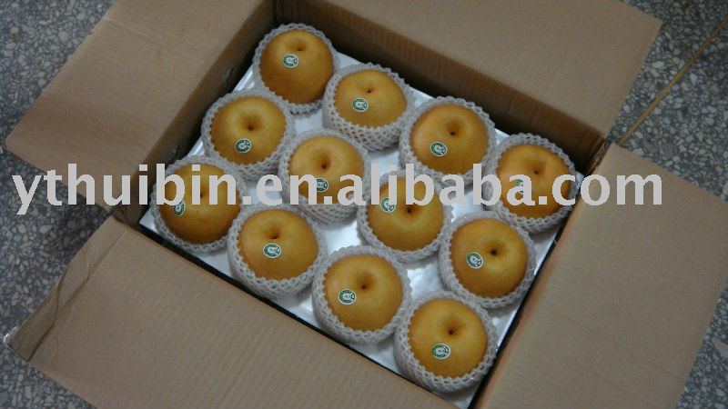 Fresh Singo Pear