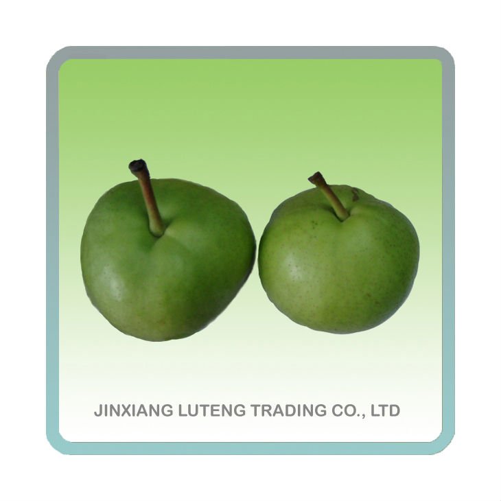 Fresh green su pear