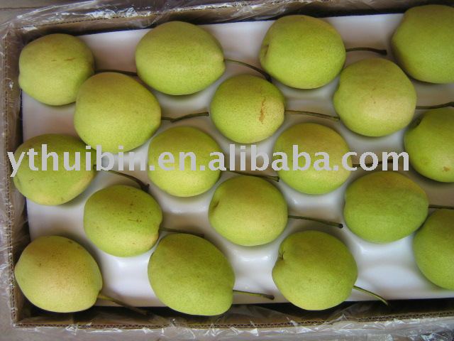 Fresh Pear