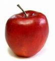 THE BEST   HIGH QUALITY Apple Concentrate juice