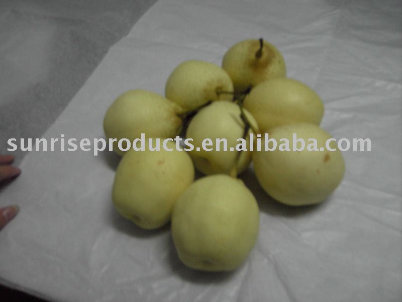 China Ya Pear