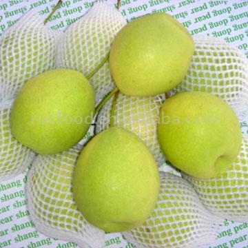 Shandong Pear