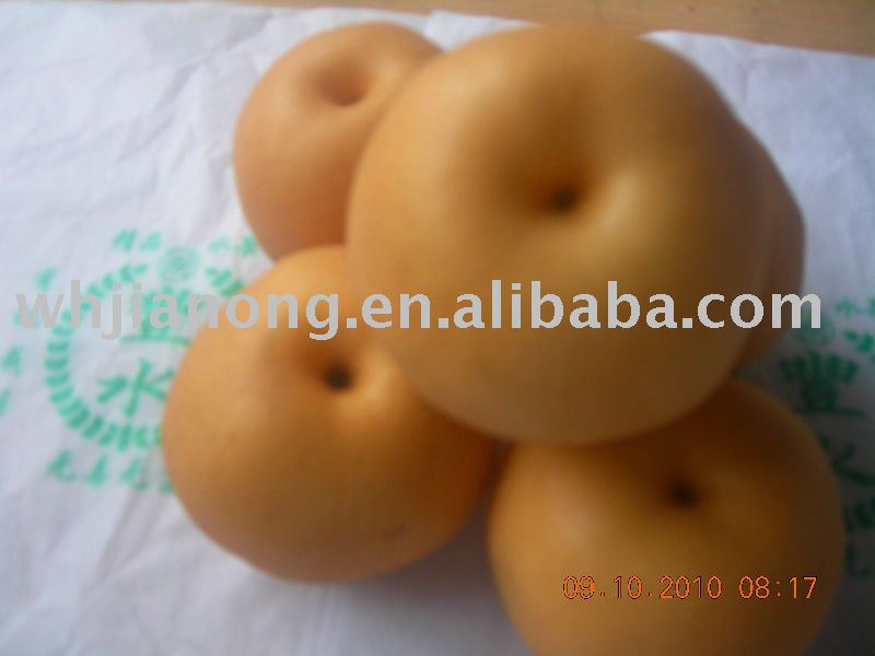  Fengshui   Pear 