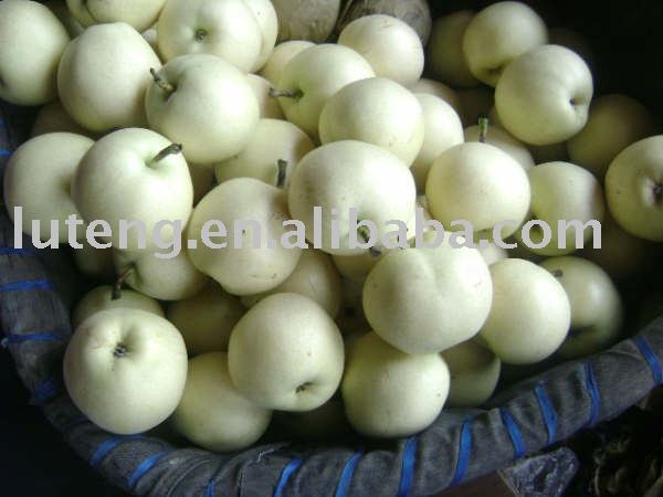 New Crop of Fresh Emerald Pear