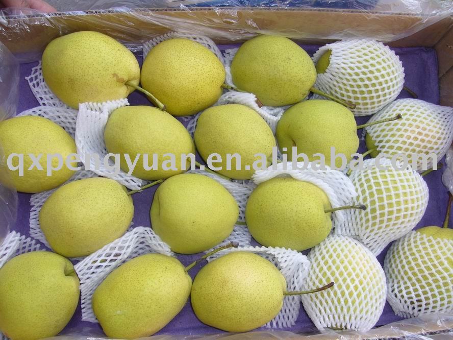 Shandong  Pear