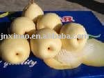2010chinese fresh delicious golden pear