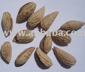 almond-not shelled