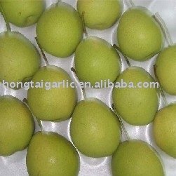 Fresh Shandong Pear